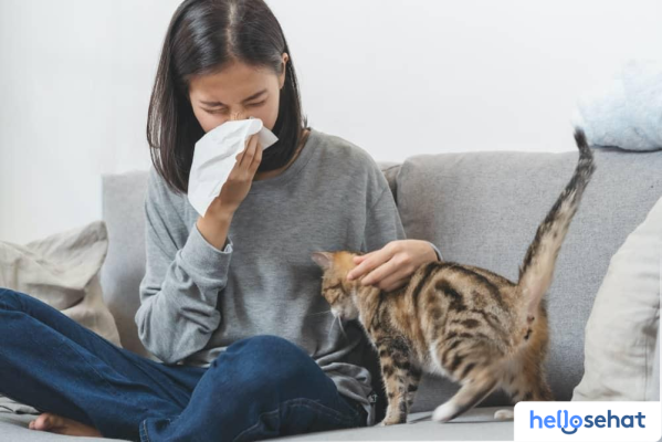 Atasi_Alergi_Kucing_Tips_Ampuh__Pengobatan_Alami Atasi Alergi Kucing: Tips Ampuh & Pengobatan Alami