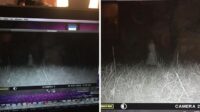 Bukti Nyata! Foto Hantu Terkini Bikin Merinding Sepanjang Malam
