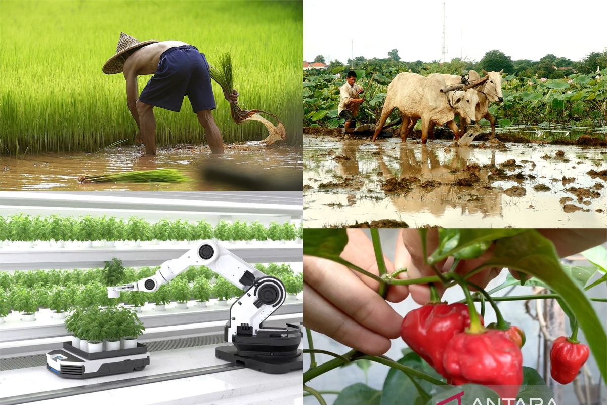 Revolusi Pertanian: Inovasi & Teknologi Canggih Terbaru