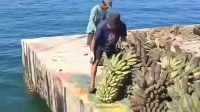 Tragedi Enggano: 4000 Jiwa Terisolasi, Panen Busuk, Butuh Bantuan Segera