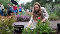 Kate Middleton Tampil Sederhana: Tanam Mawar Tanpa Sarung Tangan