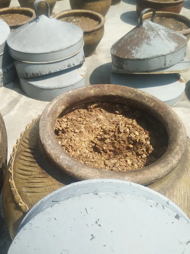 Rahasia Kuliner Indonesia: Sejarah & Asal-usul Bumbu Tauco